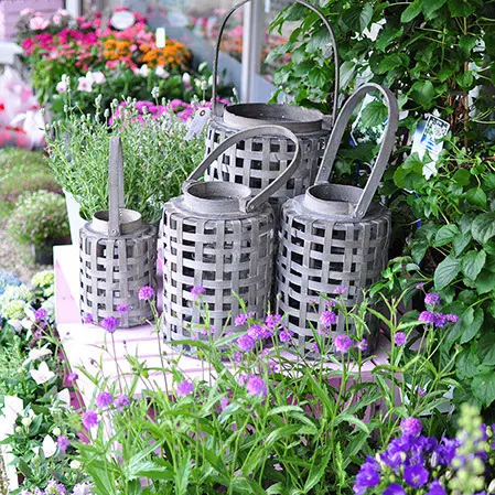 Bepflanzte Außengefäße mit Lavendel und Gräsern