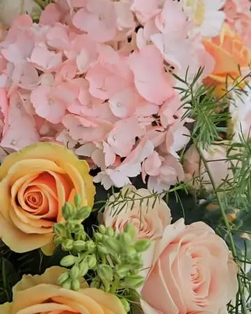 Nahaufnahme von rosa Hortensie, pfirsichfarbenen Rosen und weißen Gerbera